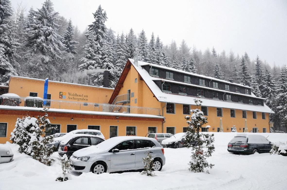 Waldhotel Am Aschergraben Geising Exterior foto