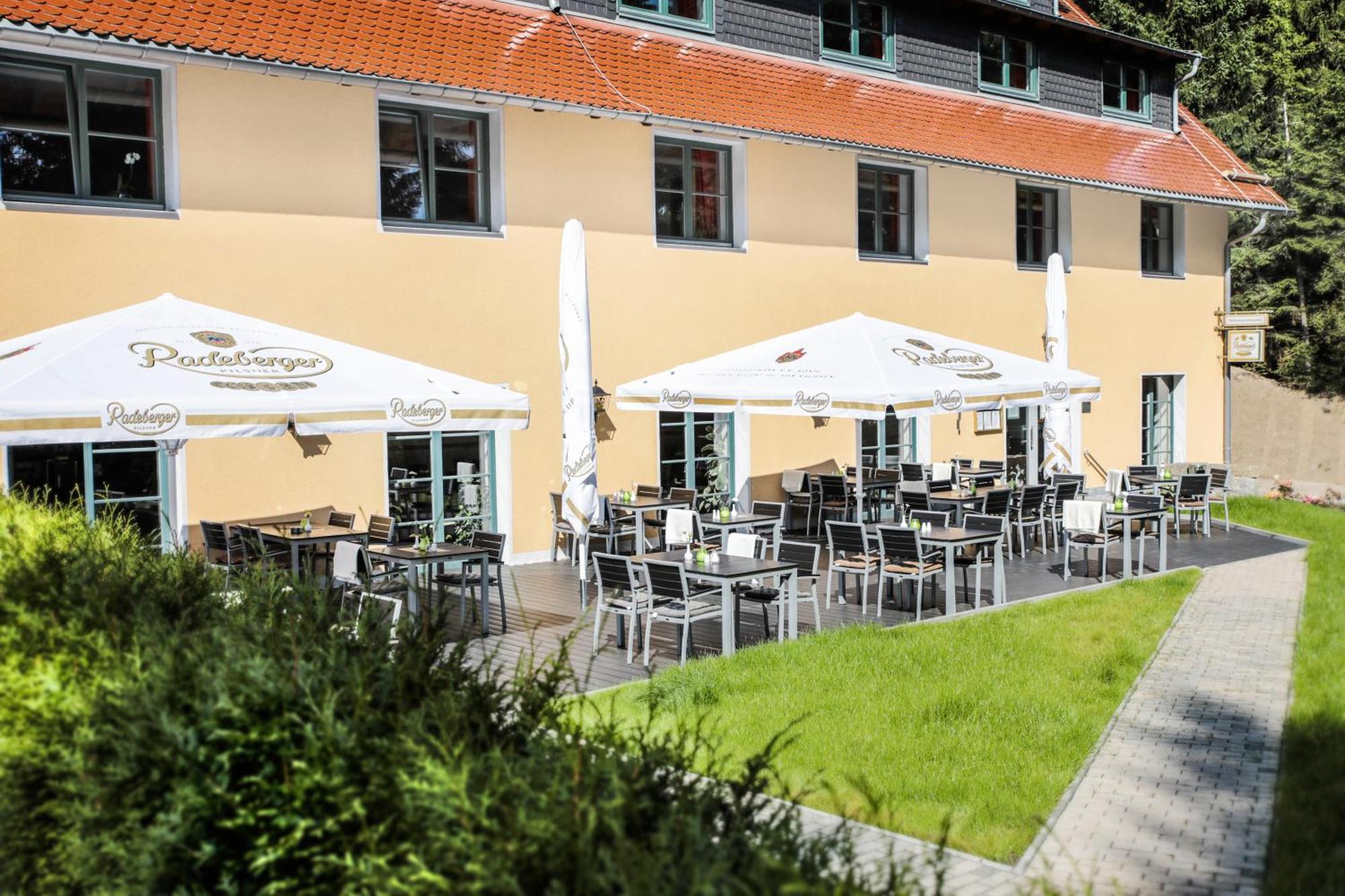 Waldhotel Am Aschergraben Geising Exterior foto